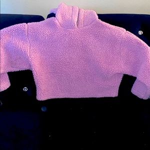 Sweater crop